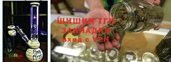 тгк Алексин