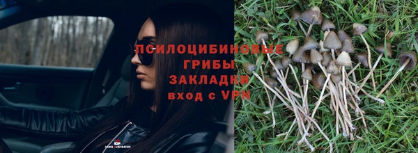 тгк Алексин